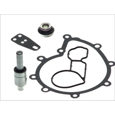 Kuva DT Spare Parts 1.31121 Korjaussarja, vesipumppu