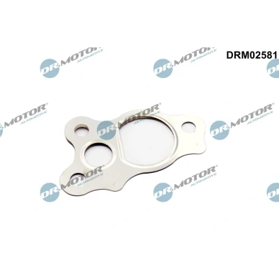 Kuva Tiiviste, EGR venttiili Dr.Motor Automotive DRM02581