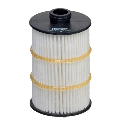 Kuva HENGST FILTER E861H D413 Öljynsuodatin Suodatinpanos AUDI: A6 C7 Avant, A7 Sportback, Sedan, BENTLEY: Continental GT