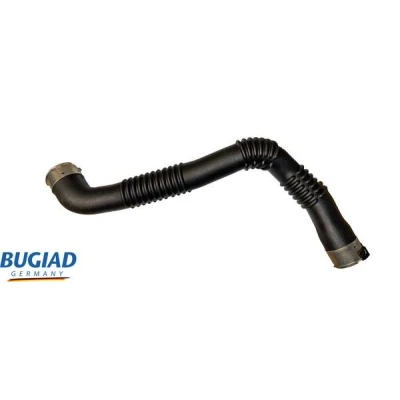 Kuva BUGIAD 82532 Ahdinletku