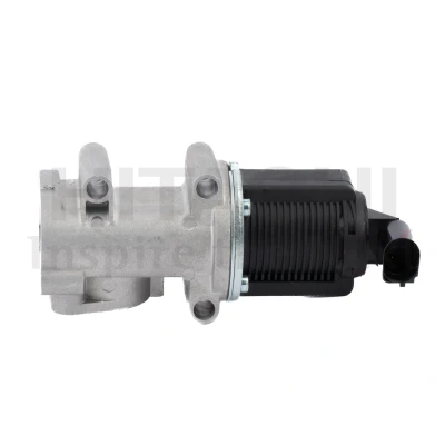 Kuva HITACHI 2505967 EGR Venttiili FIAT: Doblo I Cargo, ALFA ROMEO: 147