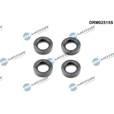 Kuva DR.MOTOR AUTOMOTIVE DRM02515S Tiivisterengas, tulppaistukka