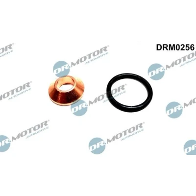 Kuva DR.MOTOR AUTOMOTIVE DRM0256 Tiivistesarja, Ruiskutussuutin