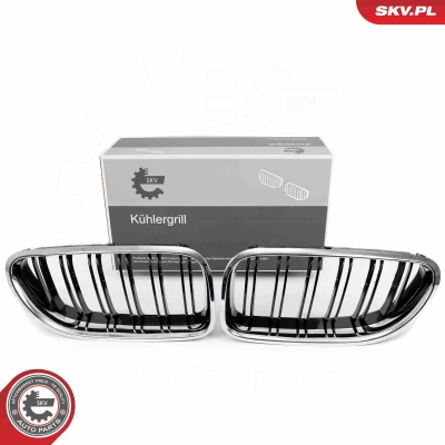 Kuva ESEN SKV 66SKV208 Etusäleikkö kromi/musta BMW: 6 Coupe