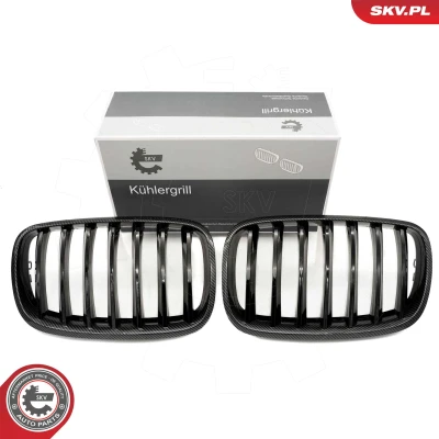 Kuva ESEN SKV 66SKV286 Etusäleikkö Hiili BMW: X5