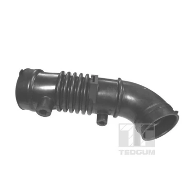 Kuva Letku, ilmansuodatin TEDGUM 00396364