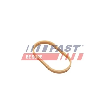 Kuva FAST FT49461 Imusarjan Tiivisteet Imu FPM (fluori kumi) RENAULT: SCENIC 2, MEGANE 2 Kombi, CLIO