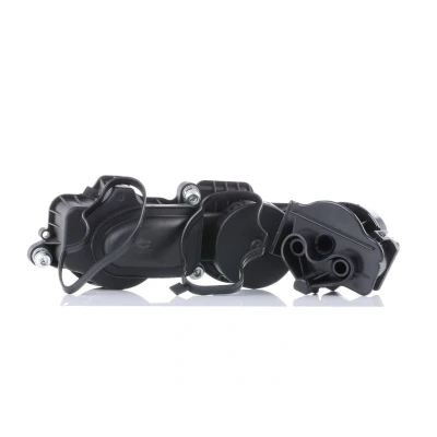 Kuva ESEN SKV 31SKV036 Huohotin Ilmanpoistoventtiili Sylinterikansi BMW: 3 Touring, Sedan, 1 Hatchback