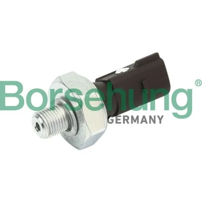 Kuva Borsehung B13137 Öljynpaineanturi 0.55/0.85BAR VOLKSWAGEN: Passat B6 Variant, Golf 6, 4 AUDI: A4 Sedan, B7 Avant, Avant