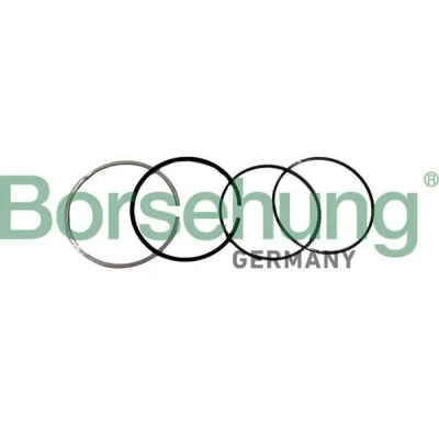 Kuva Männänrengassarja Borsehung B10371