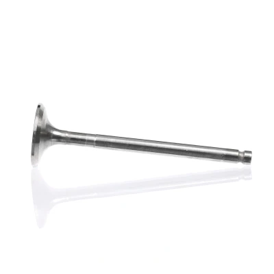 Kuva Imuventtiili, Imupuoli FIAT, LANCIA OE 46462158, 46517325, 46761369