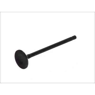 Kuva FRECCIA R6485/RNT Pakoventtiili 25,4 Venttiilivarsi nitrattu