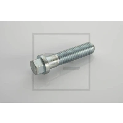 Kuva PETERS ENNEPETAL 120.007 00A Ruuvi M12