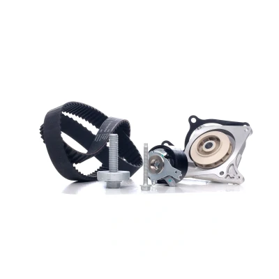 Kuva INA 530 0607 30 Vesipumppu + Jakohihnasarja Vesipumpulla RENAULT: MEGANE 3 Grandtour, 3, Duster, DACIA: Duster SUV, SANDERO 2, LOGAN MCV 2