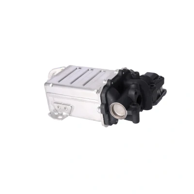 Kuva EGR moduli (pakokaasukierrätys) VW CRAFTER Flak/chassi, Skåp OE 04L 131 512 BN, CG, 4L BN