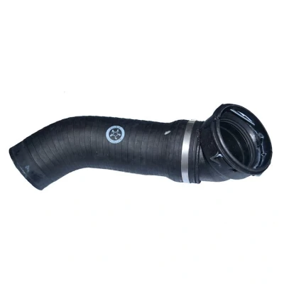 Kuva THERMOTEC DCB002TT Ahdinletku BMW: X3