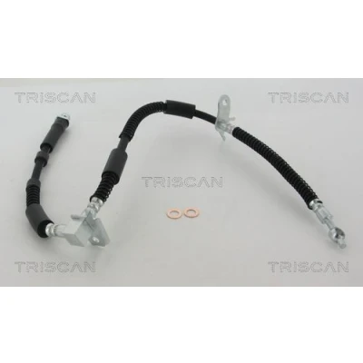 Kuva TRISCAN 8150 17304 Jarruletku 595/330 F10x1 LAND ROVER: Range Rover Sport