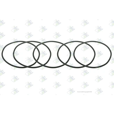 Kuva Euroricambi 95531923 Tiivisterengas
