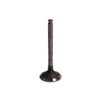 Kuva FRECCIA R6120/RNT Pakoventtiili 32,5 Venttiilivarsi nitrattu LAND ROVER: Freelander I SUV, 75