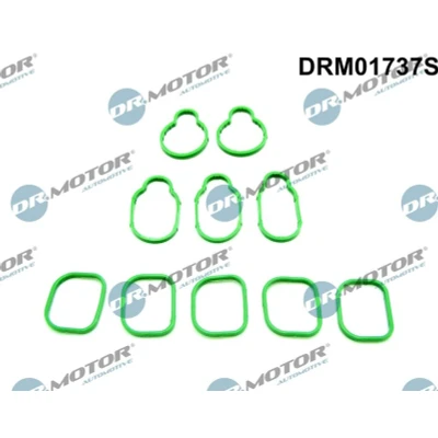 Kuva DR.MOTOR AUTOMOTIVE DRM01737S Tiivistesarja, Imusarja VOLKSWAGEN: Bora Sedan, Golf 4