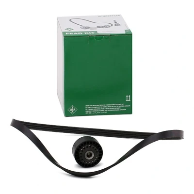 Kuva INA 529 0100 10 Moniurahihnasarja Tarkasta laturin liikkuvuus ja vaihda tarvittaessa. PEUGEOT: 206 Hatchback, RENAULT: Clio 4