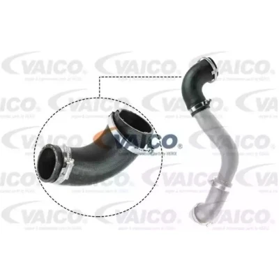 Kuva VAICO V25 1050 Ahdinletku Kumi kudosvahvikkeella Q+, original equipment manufacturer quality FORD: KUGA 2