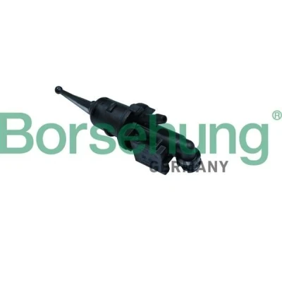 Kuva Borsehung B17868 Kytkin Pääsylinteri VOLKSWAGEN: Passat B6 Variant, CC