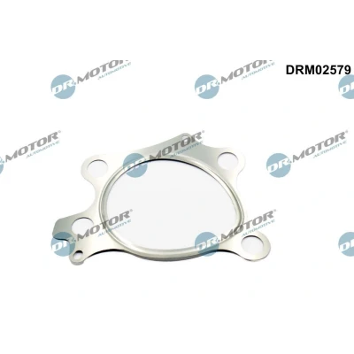 Kuva Pakoputken tiiviste Dr.Motor Automotive DRM02579
