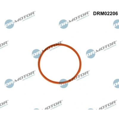 Kuva DR.MOTOR AUTOMOTIVE DRM02206 Imusarjan Tiivisteet Imu VOLVO: V70 3, V60 I, XC60 I
