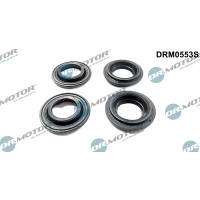 Kuva DR.MOTOR AUTOMOTIVE DRM0553S Tiivistesarja, Ruiskutussuutin