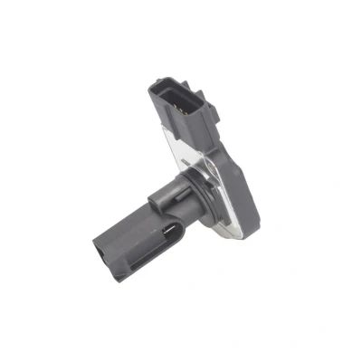 Kuva DELPHI AF10372 12B1 Ilmamassamittari FORD: Transit Mk5 Bussi, MONDEO 3 Kombi,