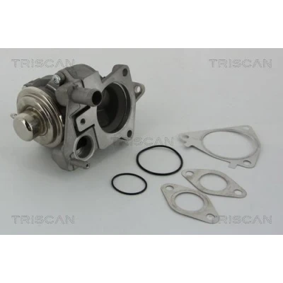 Kuva TRISCAN 8813 28019 EGR Venttiili Pneumaattinen Tiivisteillä CITROËN: Jumper II Van, Bussi, FIAT: Ducato III Flatbed Kuorma auto / Alusta