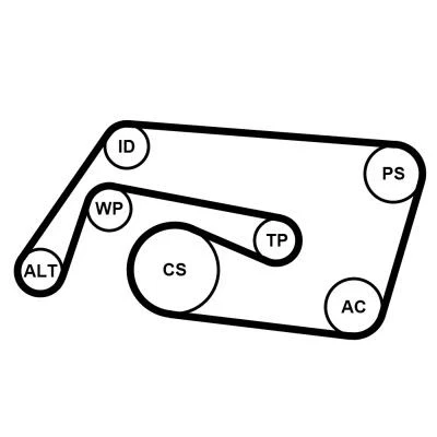 Kuva CONTITECH 6PK2260K2 Moniurahihnasarja MERCEDES BENZ: C sarja T modell, Sedan, CLK Coupe