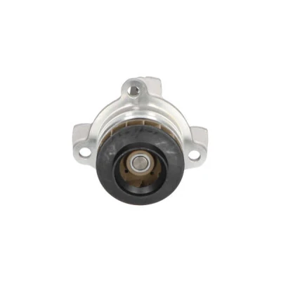 Kuva KAVO PARTS NW 1283 Vesipumppu Tiivisteillä NISSAN: Qashqai / Qashqai+2 I, Primastar Bussi, Van, RENAULT: TRAFIC 2 Bus, Kasten