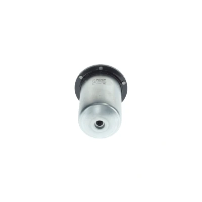 Kuva BOSCH F 026 402 378 Polttoainesuodatin Letkusuodatin 10mm RENAULT: MASTER 3 Bus, Kasten, Trafic 3, NISSAN: NP300 Navara Pick up