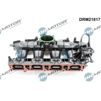 Kuva DR.MOTOR AUTOMOTIVE DRM21817 Imusarjamoduli VOLKSWAGEN: Passat B6 Variant, Tiguan I, B7 Sedan, SKODA: Octavia 2 Combi, II Hatchback