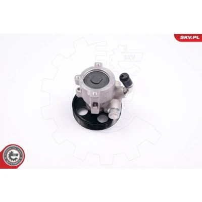 Kuva ESEN SKV 10SKV174 Ohjaustehostimen Pumppu CITROËN: Berlingo / First I Van