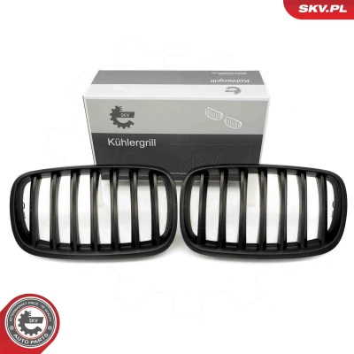 Kuva ESEN SKV 66SKV284 Etusäleikkö mattamusta BMW: X5