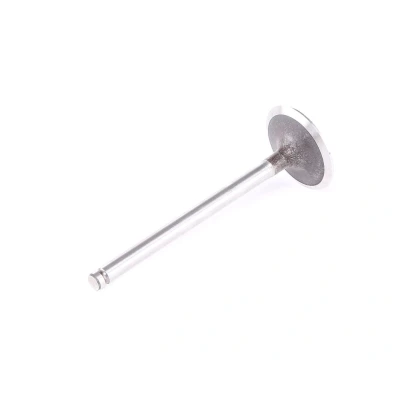 Kuva Imuventtiili, Imupuoli DACIA, RENAULT OE 7700273371, 7701465088