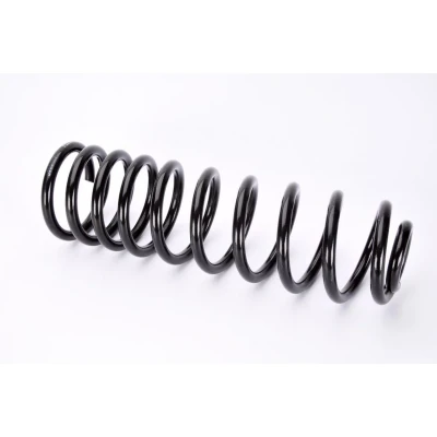 Kuva Magnum Technology SW064MT Jousi Taka akseli Kierrejousi VOLKSWAGEN: Passat B3/B4 Variant