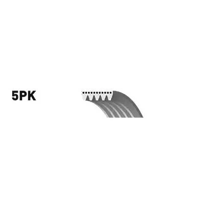 Kuva SNR CA5PK1200 Moniurahihna 1200 5 RENAULT: GRAND SCENIC 2, CLIO MEGANE 2 Kombi, NISSAN: Almera Limousine, MICRA 3, II Hatchback
