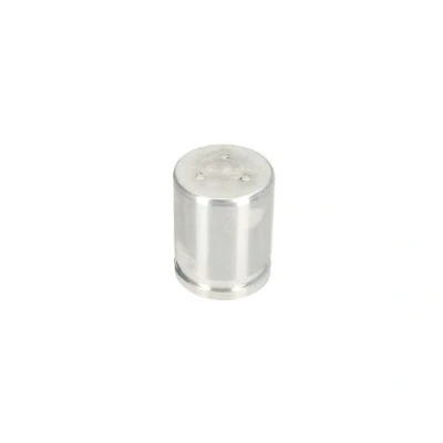 Kuva AUTOFREN SEINSA D025692 Jarrusatulan Mäntä 40 NISSAN