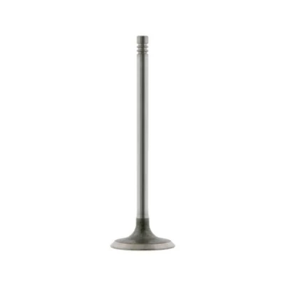 Kuva FEBI BILSTEIN 24160 Imuventtiili 33 BMW: 5 Sedan, 3 Sedan