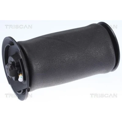 Kuva TRISCAN 8720 11202 Ilmajousi, Jousitus BMW: 5 Touring