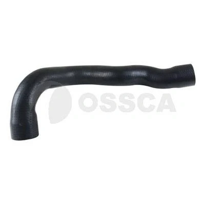 Kuva OSSCA 65215 Ahdinletku