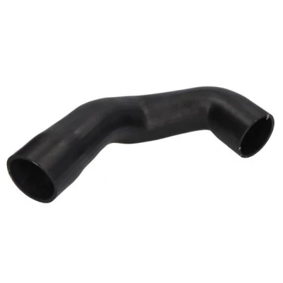 Kuva THERMOTEC DCI010TT Imuputki, Ilmansuodatin LAND ROVER: Discovery IV VAN