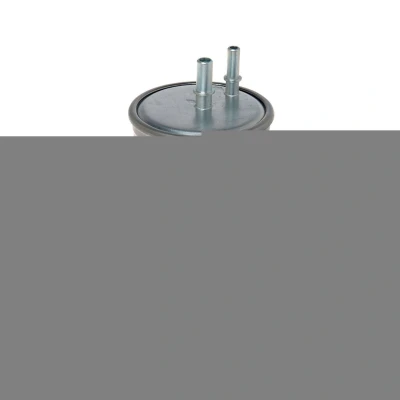 Kuva HENGST FILTER H245WK Polttoainesuodatin Letkusuodatin