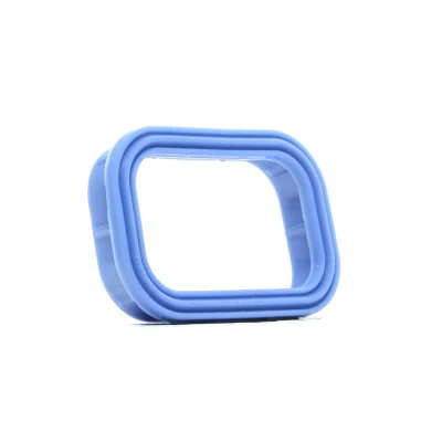 Kuva Tiiviste, imusarja, Sylinterikansi CITROËN, FIAT, FORD, JAGUAR, LAND ROVER, LDV, MAZDA, PEUGEOT OE 0348T1, 1138392, 9661743180