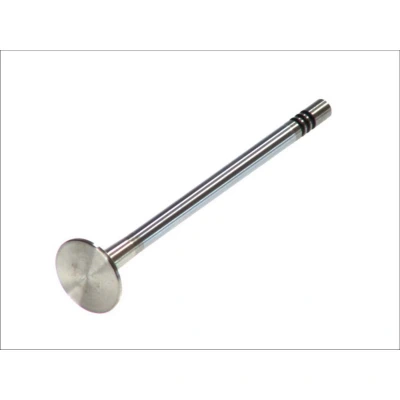 Kuva FRECCIA R6146/BMCR Pakoventtiili 25,8 venttiilinvarsi kromattu FORD: MONDEO 3 Kombi, Stufenheck