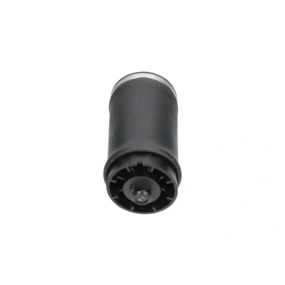 Kuva Ilmajousi, jousitus KAVO PARTS SAS 10035